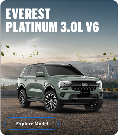 EVEREST PLATINUM 3.0L V6