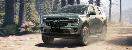 EVEREST PLATINUM 3.0L V6