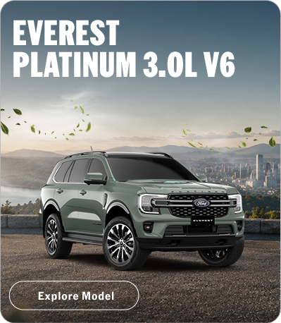 EVEREST PLATINUM 3.0L V6